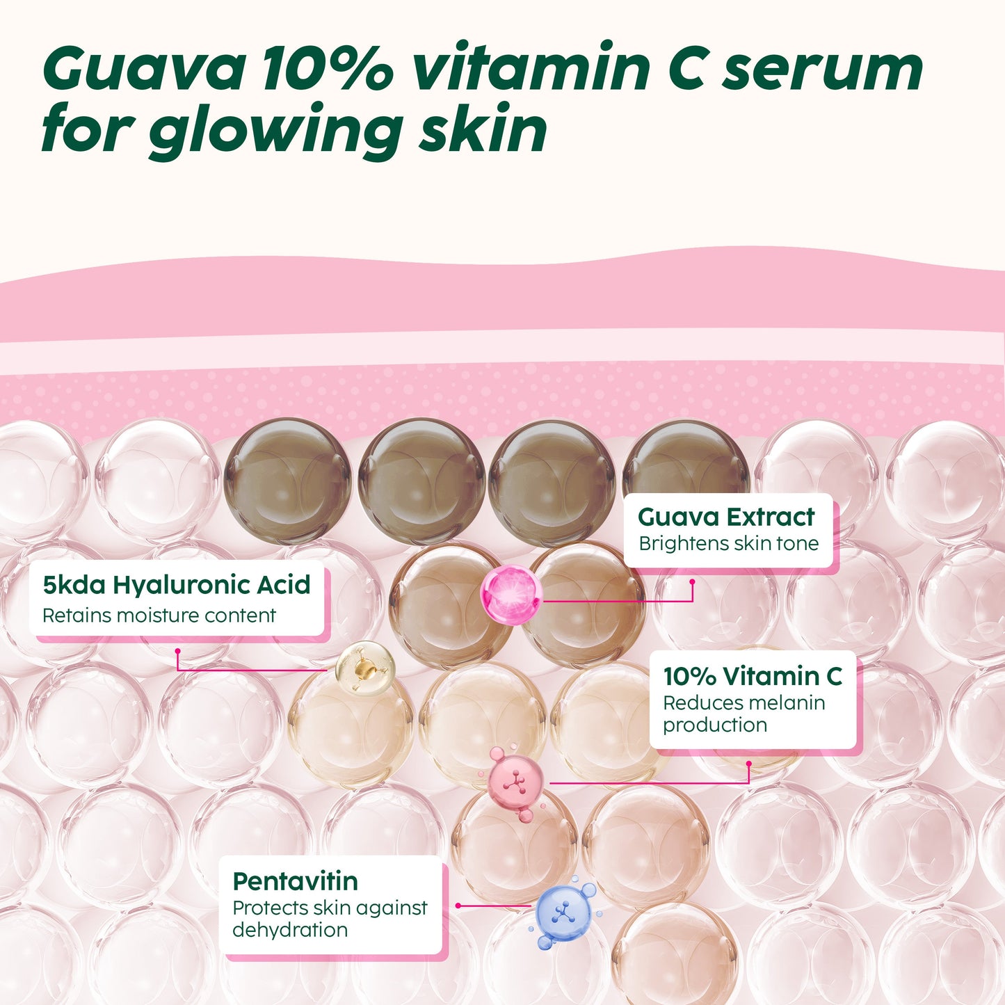 Guava Glow Regime with Cleanser & 10% Vitamin C Serum for Superbright Glow